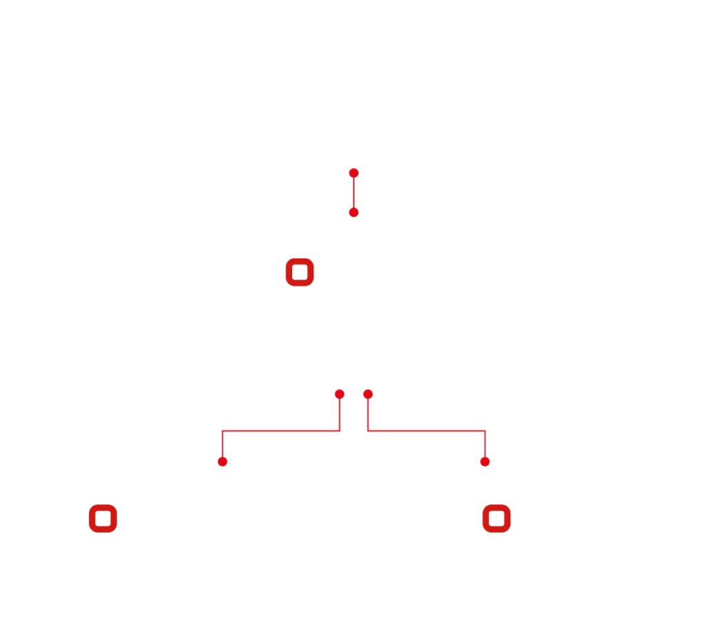 Das Bild illustriert die Unternehmensstruktur von Commeo.